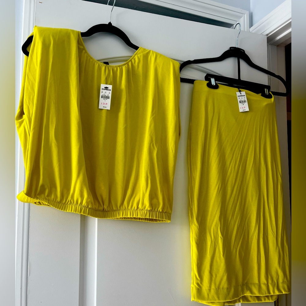 NWT! Cute Express Top and Skirt